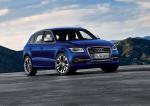 Audi SQ5 TDI 2013 года (WW)